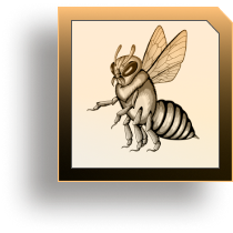 NFT bee